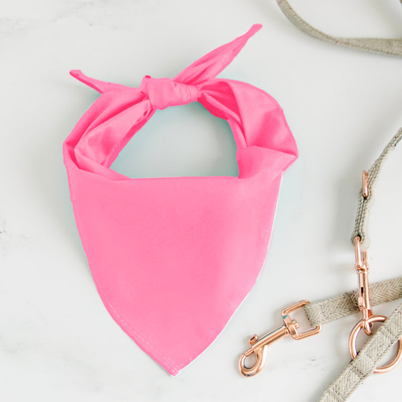 Personalized Dog Wedding Bandanas