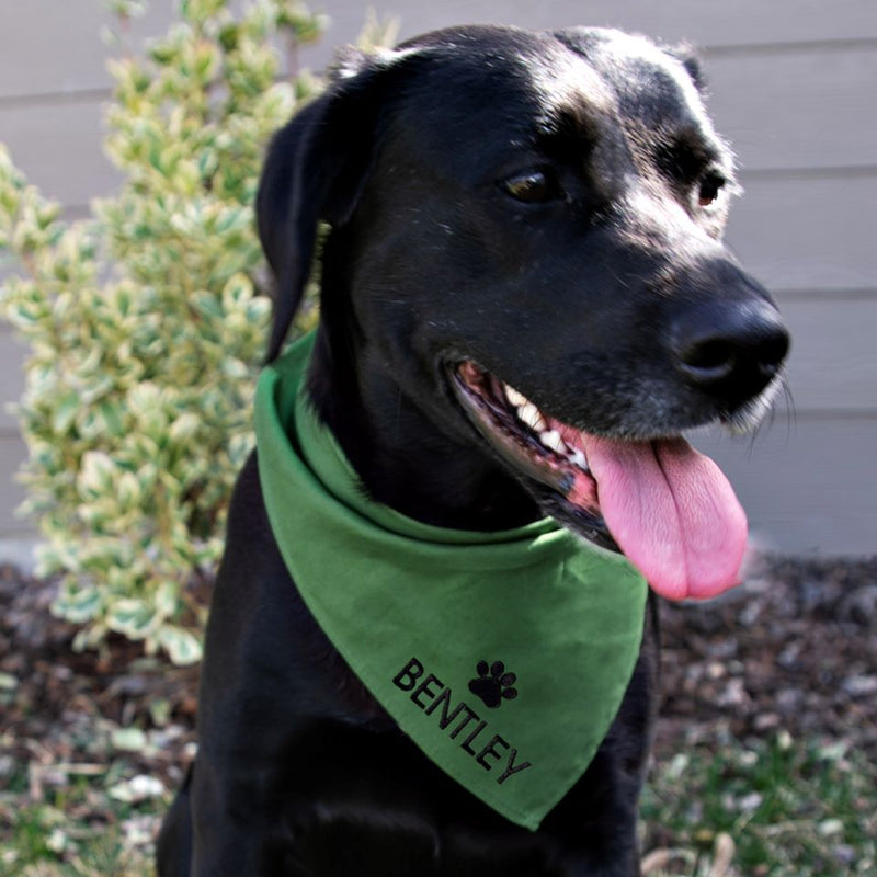 Embroidered Wedding Dog Bandanas