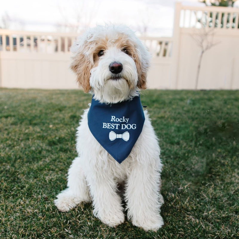 Personalized Dog Wedding Bandanas