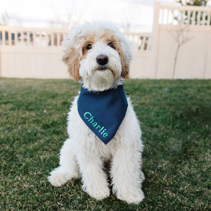Embroidered Wedding Dog Bandanas